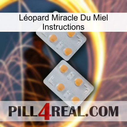 Léopard Miracle Du Miel Instructions 25